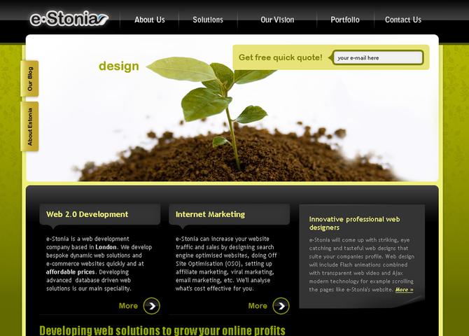 e-Stonia.co.uk Web Design and Development